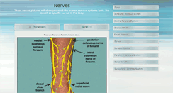 Desktop Screenshot of nervespictures.com
