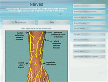Tablet Screenshot of nervespictures.com